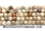 CSS852 15.5 inches 10mm round sunstone beads wholesale