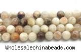 CSS853 15.5 inches 12mm round sunstone beads wholesale