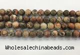 CAA3702 15.5 inches 12mm round rainforest agate beads wholesale