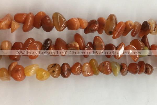 CAA3807 15.5 inches 8*12mm - 10*14mm chips red agate beads wholesale