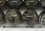 CAA4037 15.5 inches 12mm round chrysanthemum agate beads