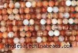 CAA5001 15.5 inches 6mm round red botswana agate beads wholesale