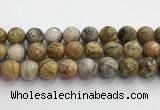 CAA5295 15.5 inches 14mm faceted round crazy lace agate beads wholesale