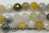 CAG1812 15.5 inches 8mm faceted round Chinese botswana agate beads