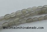 CAG3560 15.5 inches 4*6mm rice grey agate gemstone beads