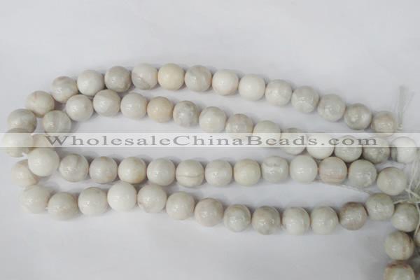 CAG3606 15.5 inches 14mm round natural crazy lace agate beads