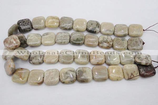 CAG3898 15.5 inches 20*20mm square chrysanthemum agate beads