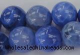 CAG4304 15.5 inches 12mm round dyed blue fire agate beads