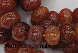 CAG617 15.5 inches 12*16mm rondelle natural fire agate beads