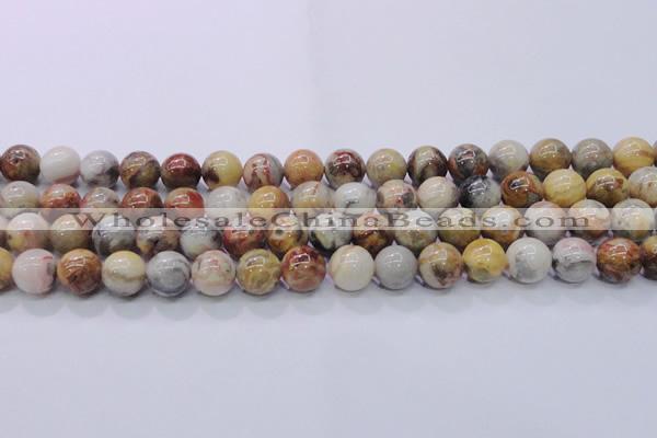 CAG6673 15.5 inches 10mm round natural crazy lace agate beads