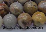 CAG6675 15.5 inches 14mm round natural crazy lace agate beads