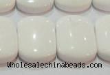 CAG7275 15.5 inches 18*25mm rectangle double drilled white agate beads