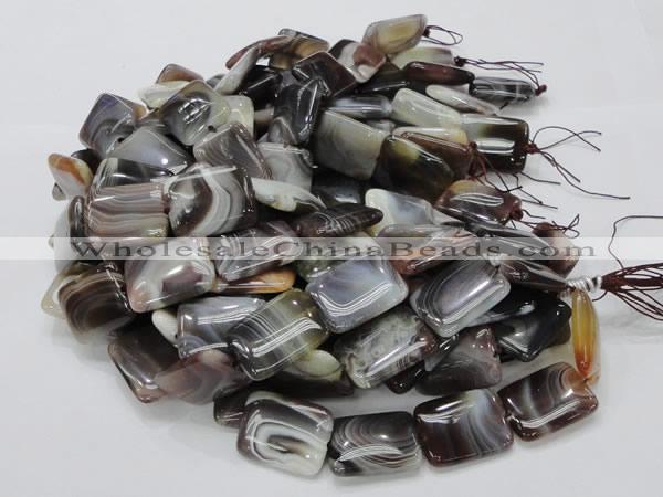 CAG741 15.5 inches 18*24mm rectangle botswana agate beads wholesale