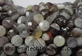 CAG749 15.5 inches 6mm faceted coin botswana agate beads wholesale