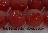 CAG8916 15.5 inches 12mm round matte red agate beads wholesale