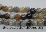 CAG971 15.5 inches 6mm round bamboo leaf agate gemstone beads