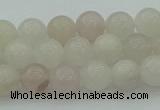 CAJ461 15.5 inches 6mm round purple aventurine beads wholesale