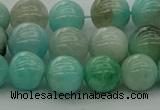 CAM1573 15.5 inches 10mm round Russian amazonite beads wholesale