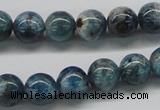 CAP06 15.5 inches 10mm round apatite gemstone beads wholesale