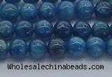 CAP361 15.5 inches 6mm round apatite gemstone beads wholesale