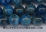 CAP413 15.5 inches 10mm round apatite gemstone beads wholesale