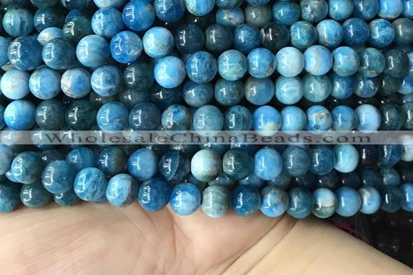 CAP579 15.5 inches 10mm round apatite beads wholesale