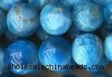 CAP590 15.5 inches 10mm round apatite beads wholesale