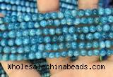 CAP605 15.5 inches 5mm round natural apatite gemstone beads