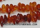 CAR116 16 inches 3*8mm - 4*10mm natural amber chips beads