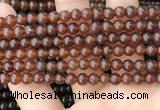 CAR231 15.5 inches 5mm - 5.5mm round natural amber beads wholesale