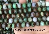 CAU437 15.5 inches 10mm round Australia chrysoprase beads wholesale