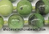 CAU541 15.5 inches 10mm round Australia chrysoprase gemstone beads