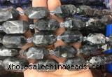 CBBS17 15 inches 11*25mm - 14*28mm hexahedral prism black labradorite beads