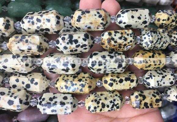 CBBS23 15 inches 11*25mm - 14*28mm hexahedral prism dalmatian jasper beads