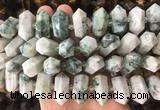 CBBS48 15 inches 12*25mm - 14*28mm hexahedral prism chrysocolla beads