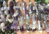 CBBS79 15 inches 8*30mm - 9*33mm hexahedral prism dogtooth amethyst beads