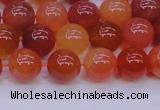 CBC414 15.5 inches 12mm AA grade round orange chalcedony beads