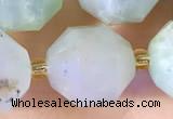 CCB1021 15 inches 11*12mm faceted Australia chrysoprase beads