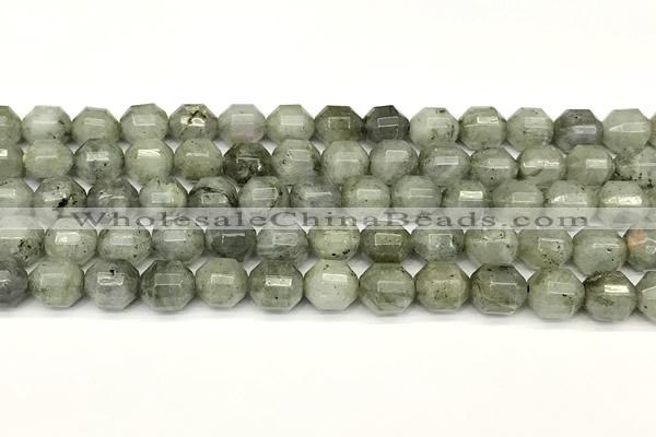 CCB1421 15 inches 9mm - 10mm faceted labradorite beads