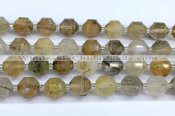 CCB1534 15 inches 11mm - 12mm faceted scenic quartz beads