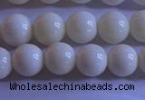 CCB302 15.5 inches 8mm round white coral beads wholesale