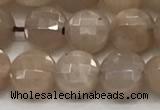 CCB705 15.5 inches 6mm faceted coin moonstone gemstone beads