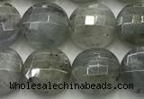 CCB726 15.5 inches 8mm faceted coin labradorite gemstone beads