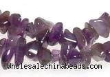 CCH12 35 inches purple amethyst chips gemstone beads wholesale