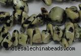 CCH228 34 inches 5*8mm dalmatian jasper chips gemstone beads wholesale