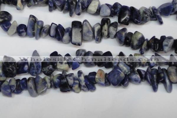 CCH300 34 inches 8*12mm sodalite chips gemstone beads wholesale