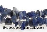 CCH33 35 inches blue sodalite chips gemstone beads wholesale