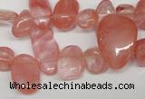 CCH334 15.5 inches 10*15mm cherry quartz chips beads wholesale