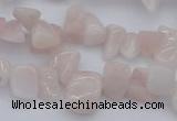 CCH626 15.5 inches 6*8mm - 10*14mm morganite gemstone chips beads