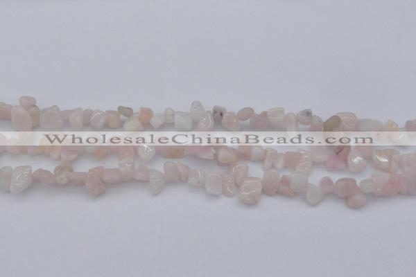 CCH626 15.5 inches 6*8mm - 10*14mm morganite gemstone chips beads